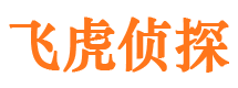 苏仙市侦探公司